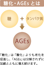 糖化・AGEsとは